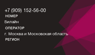 9091525600